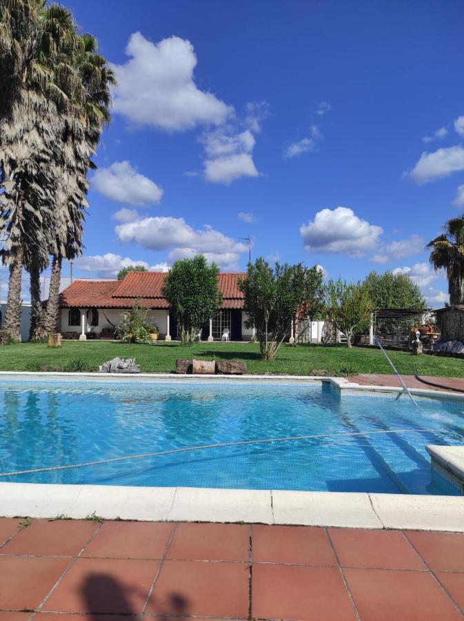 Fazenda Do Marante Hostel Tomar Kültér fotó