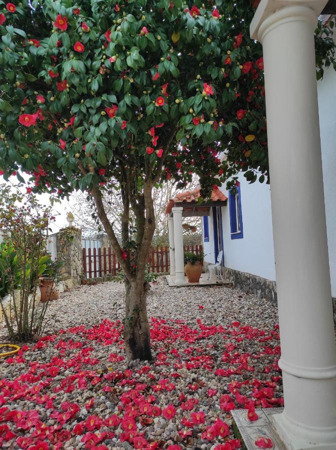 Fazenda Do Marante Hostel Tomar Kültér fotó